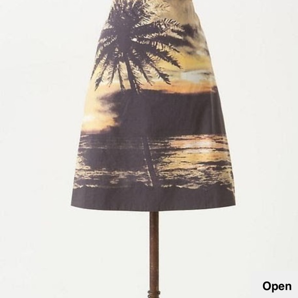 Anthropologie Dresses & Skirts - Anthropologie HD in Paris Digital Sunset skirt 2